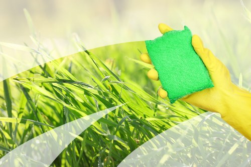 Finsbury Carpet Cleaners professional carpet care introduction
