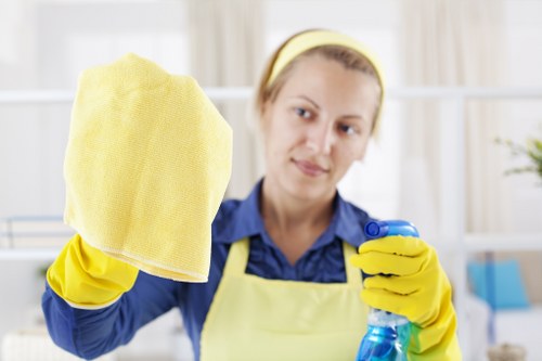 Step-by-step rug cleaning process for Finsbury properties