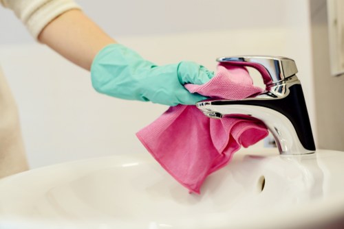 Specialist stain and smell treatment for a pet-affected sofa in Finsbury