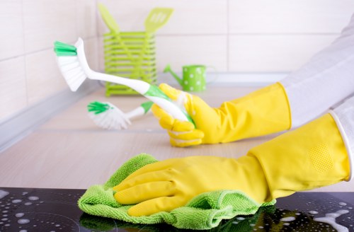 About Us Finsbury Carpet Cleaners and their professional standards