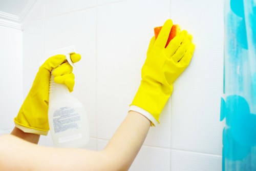 Bedroom mattress care and allergy reduction in Finsbury