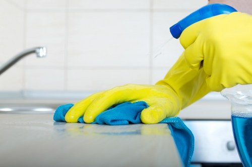 Fabric sofa being deep cleaned in a Finsbury home