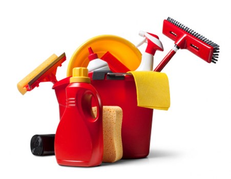 Professional cleaning tools and solutions arranged for carpet care